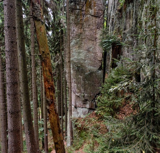 dsc_340