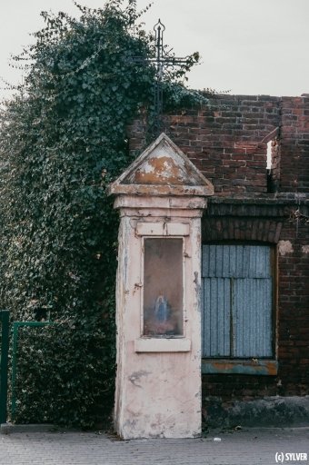 dsc_1785