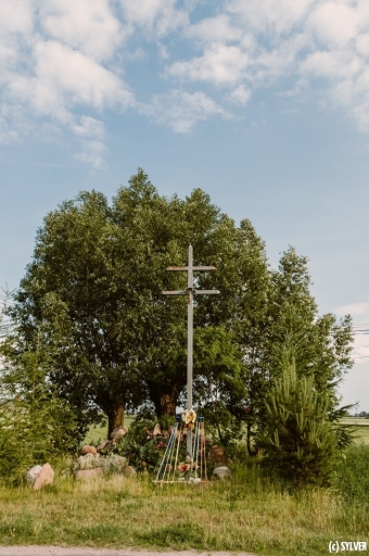 dsc_6040