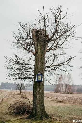 dsc_9966