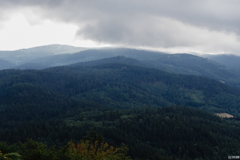 dsc_1285