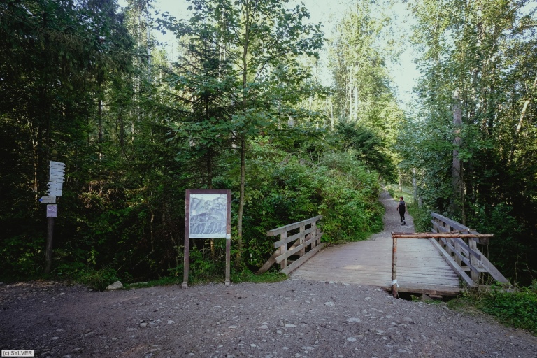 dscf5485