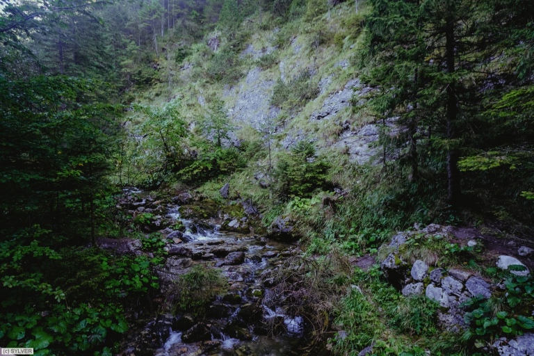 dscf5492
