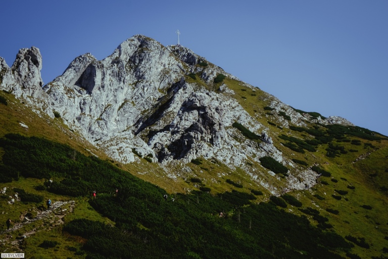 dscf5602