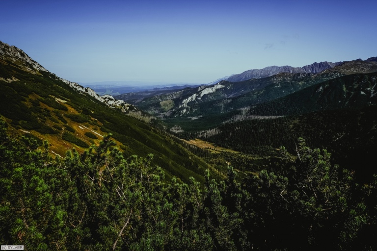 dscf5727