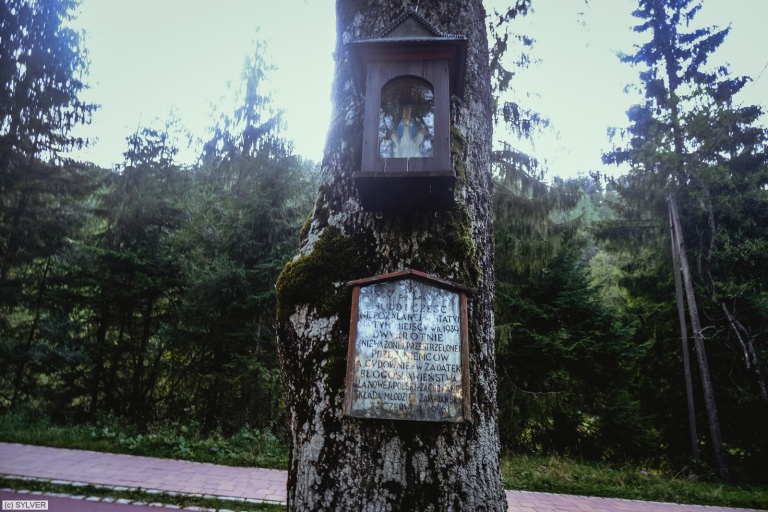 dscf5771