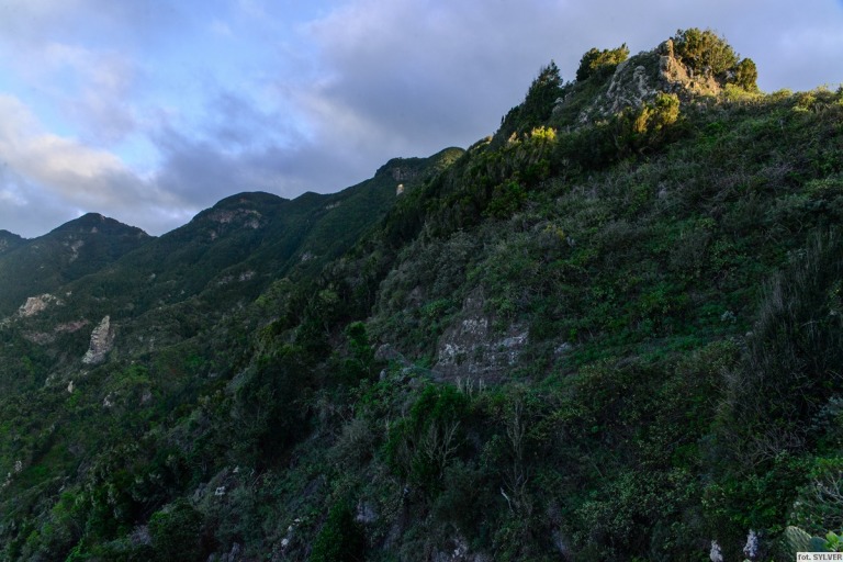 anaga_06