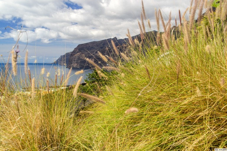 los_gigantes_13