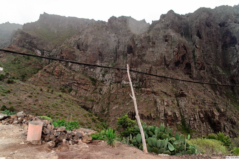 masca_15