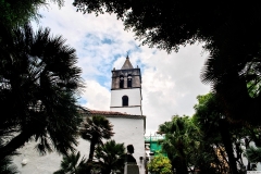icod_de_los_vinos08